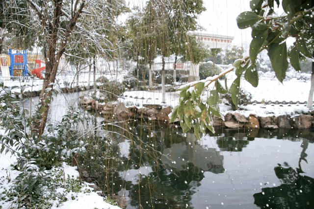 水波制作器-能制作雨,雪和各种水波纹gif图片