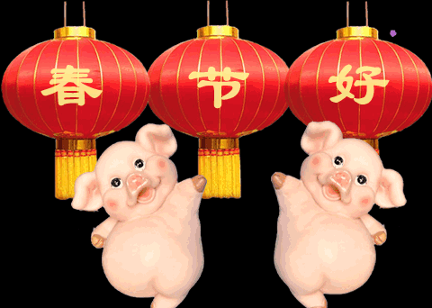 【原创】祝福大家猪年好