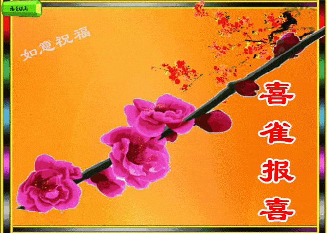 原创rose可爱的动态小鸟1